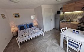 Studio Apartment Mileta